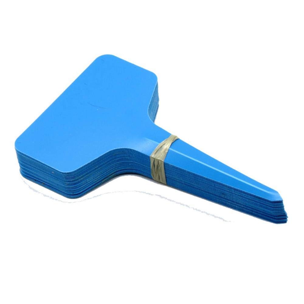 ShAwng 50 UNIDS 6 * 10 cm Plástico Tipo de Planta T Etiquetas ...