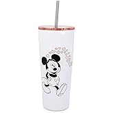 Silver Buffalo Minnie & Mickey Blowing Kiss Hearts Double Walled Stainless Steel Tumbler w Straw, 22-Ounces