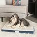 Simmons Beautyrest Thera Bed Orthopedic Memory Foam Dog Bed and Kennel / Crate Mat