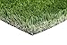 New 15' Foot Roll Artificial Grass Turf Synthetic Fescue Pet Sale! Many Sizes! (Premium 15' x 40' = 600 Sq Ft)