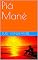 Livro Piá Mané