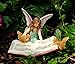 PRETMANNS Fairy Garden Fairies Miniature Accessories 3 Pieces: Boy Fairies Playing Musical Instruments & Fairy Reading a Music Book Multicolored