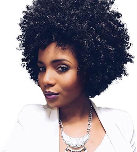 TALANG HAIR Synthetic Hair Wig Natural Looking Short Curly Kinky Wigs for Black Women Heat Resistant Wigs with Wig Cap