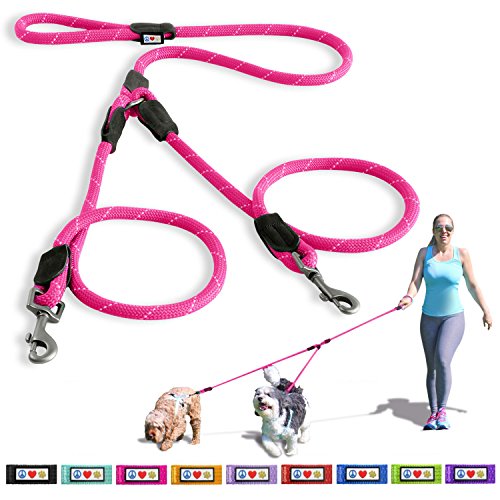 Buy PAWTITAS Pet 2 Dog Leash Training 180 cm Leash Reflective Leash