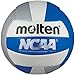 Molten Recreational Volleyball
