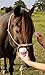 Seamus Medicated Pet Wipe - Chlorhexidine and Ketoconazole - A Water-Based pad That Does not Sting Burn or Cause Skin Irritation for Dogs, and Horses