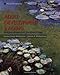Adult Development and Aging: Biopsychosocial Perspectives