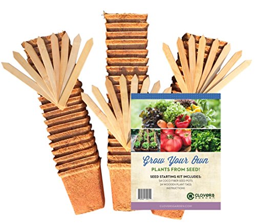 54 Coco Fiber Seed Starter Biodegradable Pots (3.5” Square Pots) for Starting Tender Rooted Vegetables, Herbs, Plant Seedlings, Cuttings, Germination Transplanting - Includes 24 Wooden 6