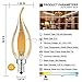 CRLight LED Candelabra Bulb 4W 2500K Warm White, 40W Equivalent 400LM E12 Base Dimmable LED Candle Bulbs, C35 Gilded Glass Flame Shape Bent Tip, 360 Degrees Beam Angle, 3 Pack