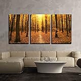 wall26 - 3 Piece Canvas Wall Art - Autumn Trees in The Forest - Modern Home Decor Stretched and Framed Ready to Hang - 24