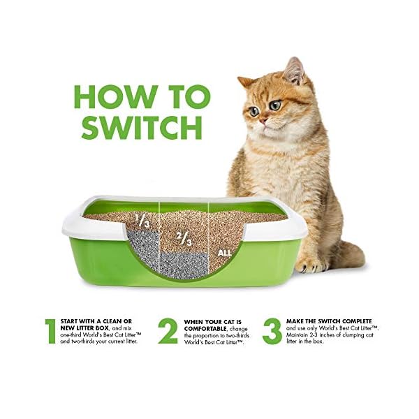 Worlds-Best-Cat-Litter-28lb-127kg-Multiple-Cat-Unscented Worlds Best Cat Litter 28lb ,Multiple Cat Unscented, 12.7 kg (Pack of 1)