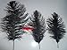 SPECIAL LOT Wholesale Bulk Ostrich- BLACK 100 Deluxe Ostrich Plumes-10-14