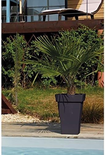 Poetic Square Planter, 38.4 cm Diameter, Anthracite - Image 3