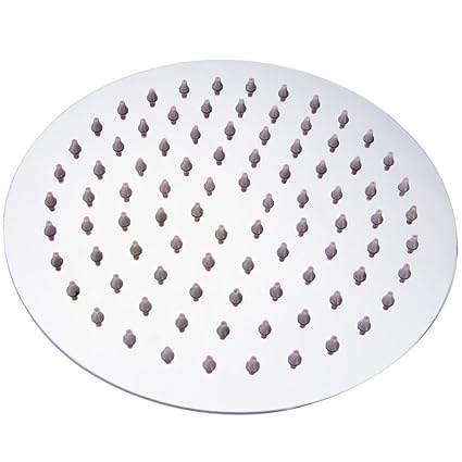 ZEYA Stainless Steel Ultra Slim Round Rain Shower Head (8 Inches, Silver)