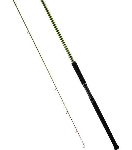 Amazon.com : BnM The Stick 13 ft Pole : Sports & Outdoors