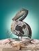 Deco Breeze Decorative Table Fan, Desk Fan, Two Speed Electric Tabletop Fan, Figurine Fan, 7 inch, Pelican