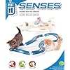 Catit-Design-Senses-Super-Roller-Circuit-Blue-8-x-95-x-95-Inches Catit Design Senses Super Roller Circuit, Blue, 8 x 9.5 x 9.5 Inches, All Breed Sizes