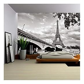 Eiffel Tower View from Seine River - Removable Wall Mural | Self-Adhesive Large Wallpaper - 66x96 inches