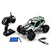 TOYEN TN652 RC Car 1/16 Scale 4WD 2.4Ghz Remote Control Cars,RC Rock Off-Road Vehicle Fast Racing Cars