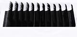 FADLASH Easy Fan Lashes DD Curl 0.05 15-20mm Mixed Length 12 Rows view 5