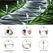 Stripsun LED Solar Garden Lights, [12 Pack] Stainless Steel Outdoor Solar Landscape Lights / Pathway Lights for Lawn, Yard, and Driveway