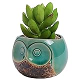 MyGift Small Owl Ceramic Succulent Planter, Flower Pot Vase, Turquoise & Brown