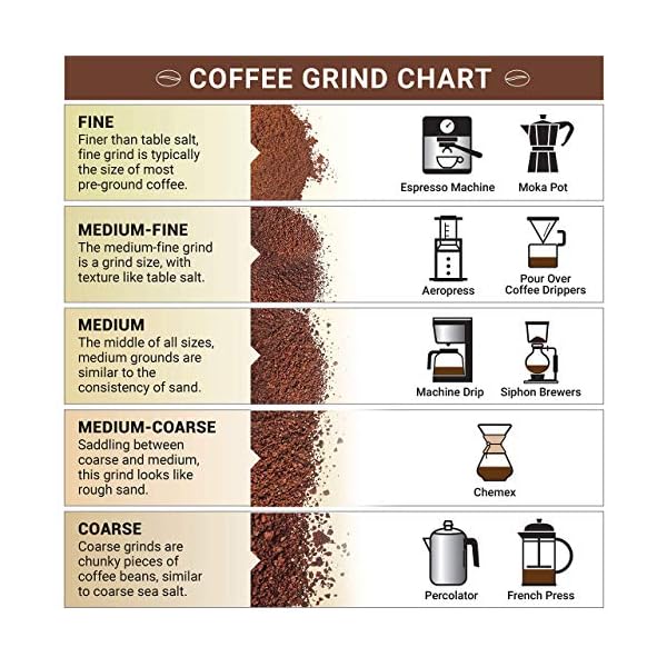 Mueller UltraGrind Conical Burr Grinder Professional Series