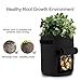 GEMGO 3 Pack Potato Grow Bag, 7 Gallon Aeration Waterproof Fabric Sweet Potato Planter, Velcro Window Vegetable Peanut Growing Box Bucket Pot for Nursery Garden (3 Pack, Black Brown Green)thumb 3