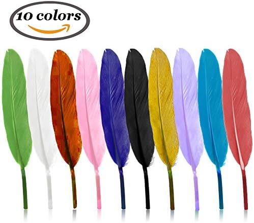 Zehhe 10 Colors Individually wrap Colorful Goose Feathers - 200 Pcs In Total(4-6 inch)