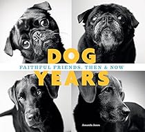 La Senia del Brigantino (Italian Edition)