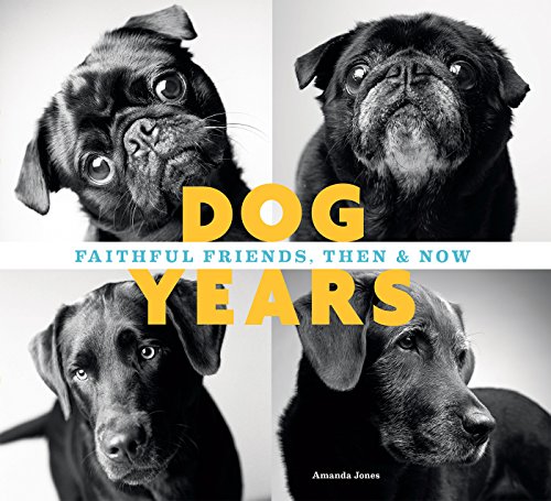 Download Dog Years: Faithful Friends, Then & Now