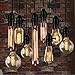 Edison Bulb, FadimiKoo Vintage Bulb 60W Dimmable A19 Squirrel Cage Filament Edison Lihgt Bulb for Home Light Fixtures Decorative, Pack of 6
