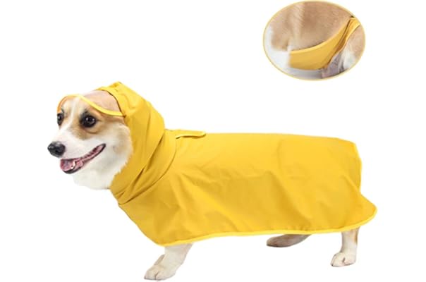 canine raincoats