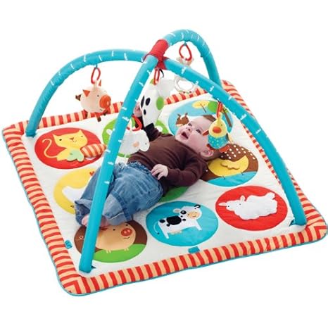 skip hop farmyard activity gym