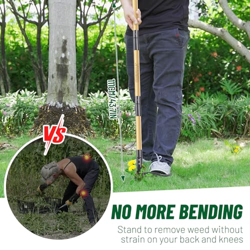 ORMALLA Weed Puller, 43.7in Long Handle Weed Remover, Dandelion Removal Tool, Natural Bamboo Handle and 4 Claws, Stand Up Garden Weed Root Remover, Pet Friendly (43.7in)