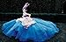 The House of Dior: Seventy Years of Haute Couture