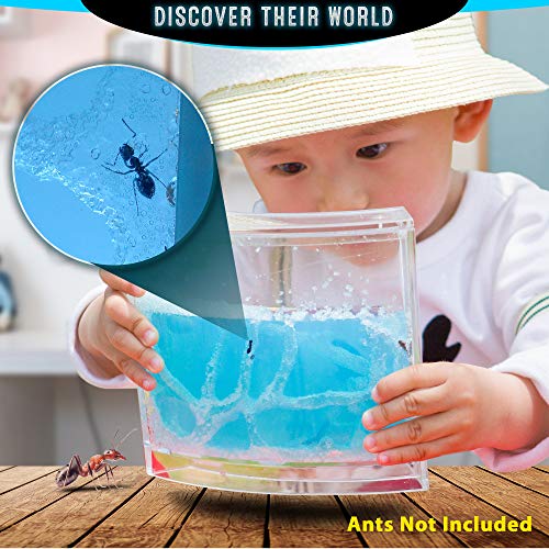 4 ANTARTISTS+Enhanced+Educational+Observatory+Accessory