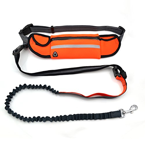 CuteBone-Dog-Running-Leash-Hands-Free-Training-Leash-Pet-Safety-Dog-Leash-For-Training-Walking-Running-GS02
