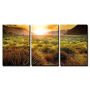 3 Piece Canvas Wall Art - Sun Rising Behind Grass Field in Open Country of New Zealand Scenery - Modern Home Art Stretched and Framed Ready to Hang - 16"x24"x3 Panels