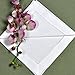 Bumblebee Linens White Linen Cotton Blend Hemstitched Dinner Napkins- Set of 4 18