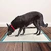 Simple-Solution-Premium-Dog-and-Puppy-Training-Pads-Pack-of-100 Simple Solution Absorbent Premium Dog and Puppy Training Pads -Pack of 100