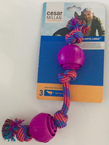 Cesar Millan Dog Whisperer Chewing Toy with Two Textures