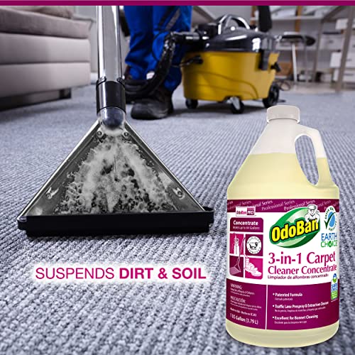 OdoBan Professional Series Cleaning 3in1 Carpet Cleaner Concentrate