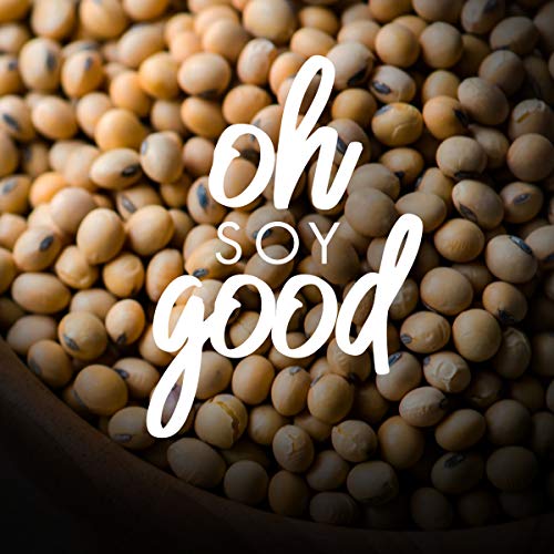 4 Delicious+Dairy+Free+Chocolate+Plant+Based+Alternative