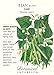 Jade Bush Bean Seeds - 20 grams - Botanical Interests
