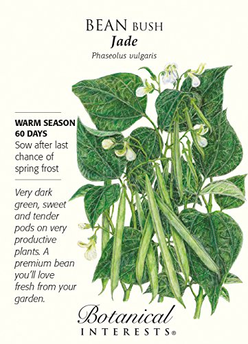 Jade Bush Bean Seeds - 20 grams - Botanical Interests Jade Bush Bean Seeds - 20 grams - Botanical Interests
