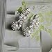 joylive Bridal Pearl Glitter Rhinestones Necklace Earrings In 1 Set For Ladies