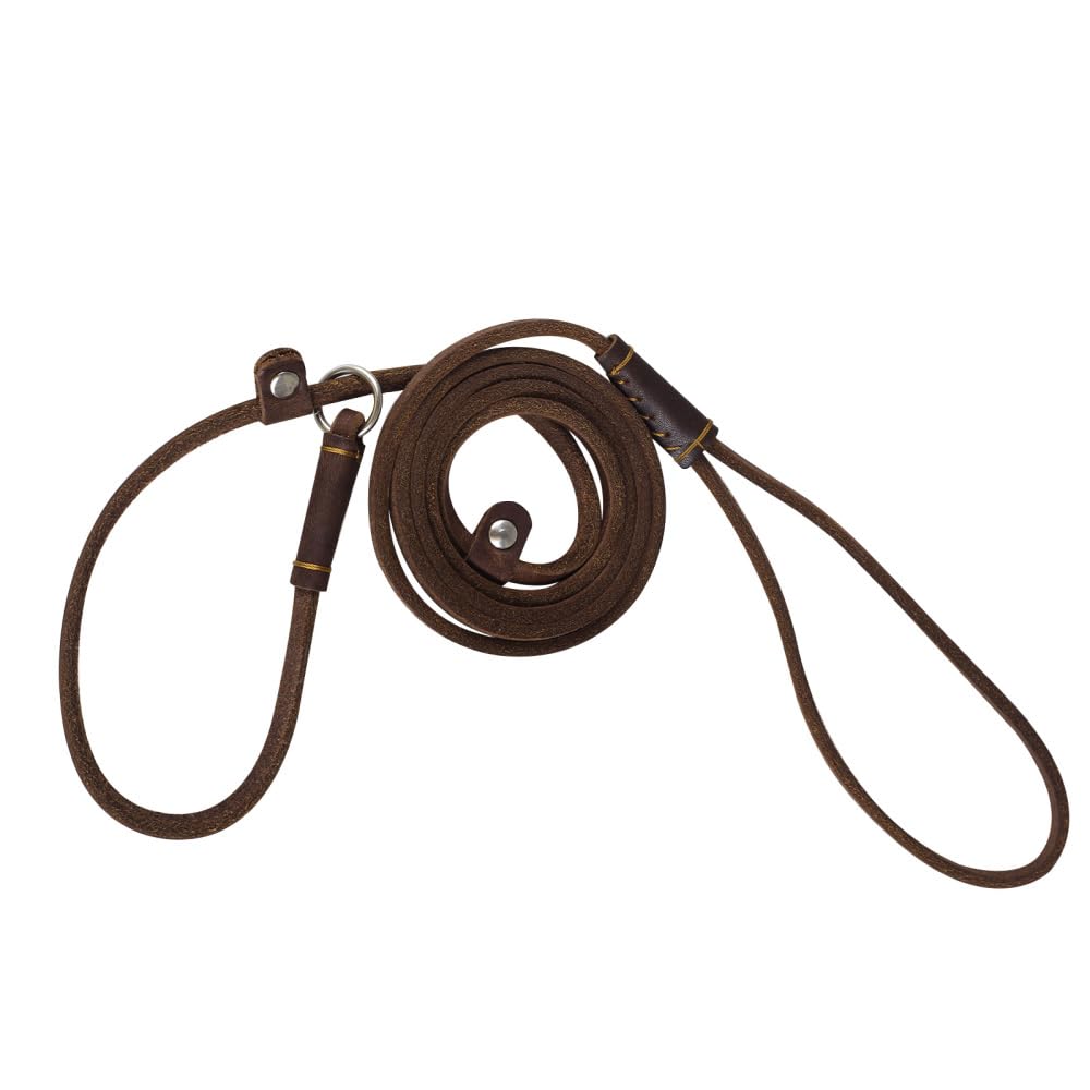 Leather Dog Leash - 5ft Adjustable Slip Lead for Small Dogs