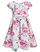 Arshiner Little Girls Round Neck Sleeveless Flower Print Back Zipper Pleated Dress with Belt