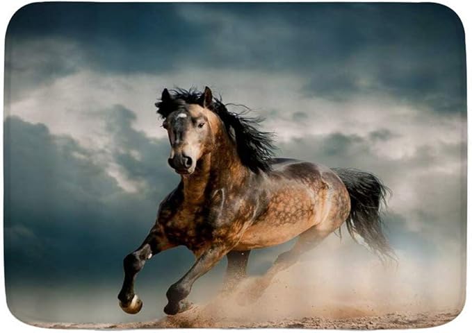 Yhouqukhdeueh Badematte Bad Teppiche, Pferd Pferderennen Traum Blue Sky